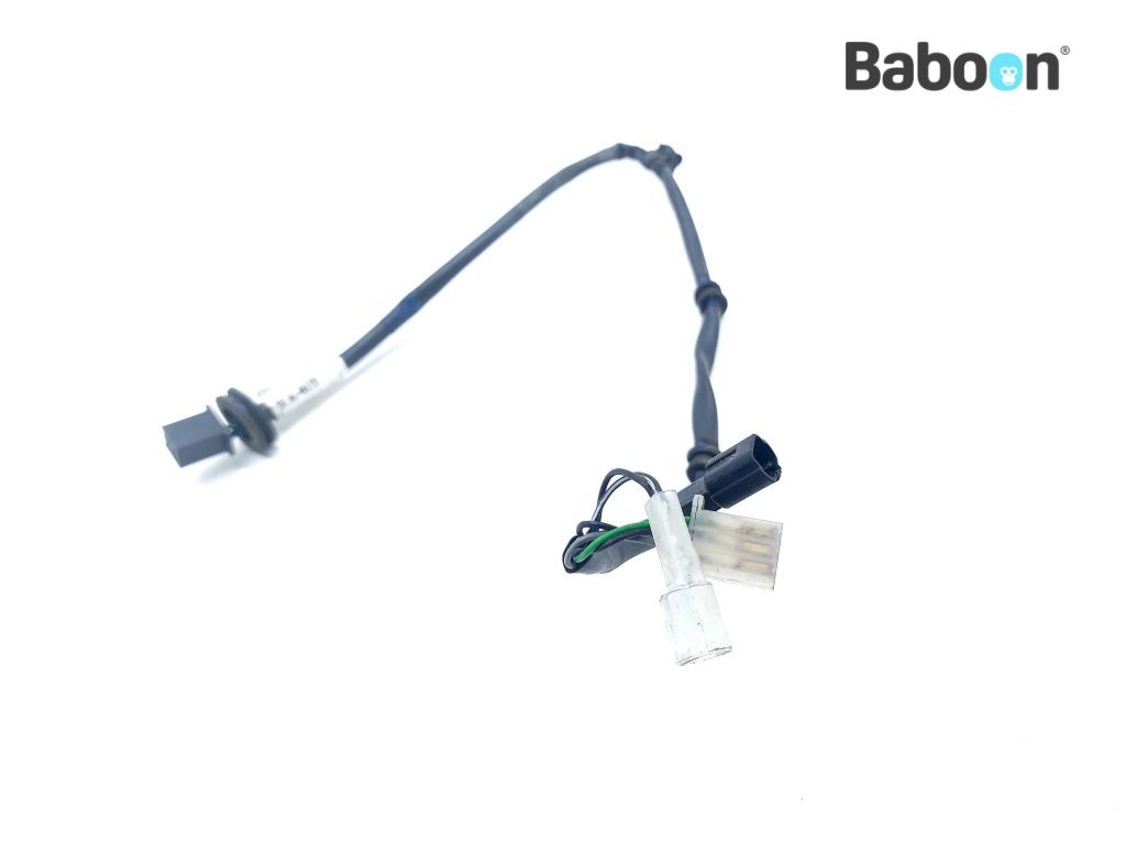 Royal Enfield Interceptor 650 2018-2021 Wiring Harness Rear