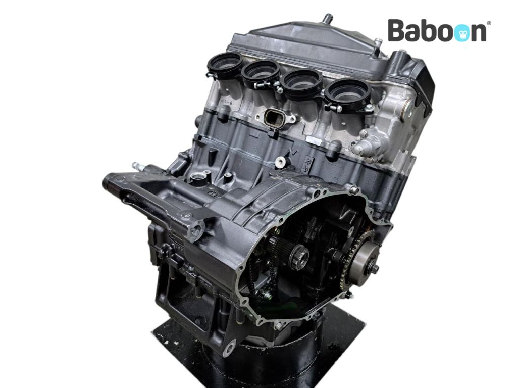 Honda CBR 1000 RR Fireblade 2008-2009 (CBR1000RR SC59) Engine
