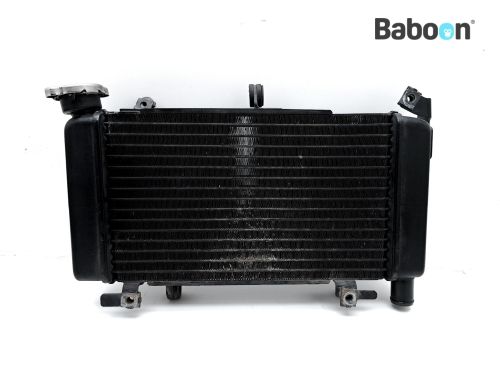 Grille De Radiateur Honda CB500F / CB500X – Aluminium Noir, Neuve, Fabrication France, Générique