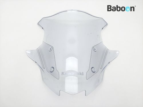 Kawasaki Ninja 1000 SX 2020-2023 (ZX1002K) Saddlebags | Baboon