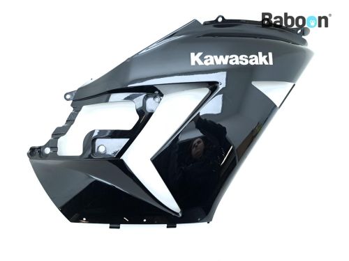 Kawasaki ZZR 1400 2010-2014 +ABS (ZX-14 ZZR1400 ZX1400) Idle Speed