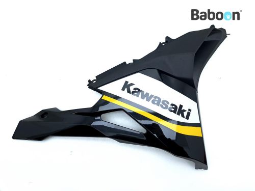 Used Kawasaki ZX 4 RR 2023-2025 (ZX400P) Parts: cowling / fairing