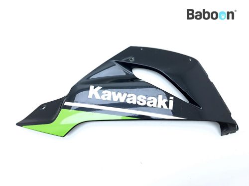 Kawasaki ZX 6 R 2019-2020 (NINJA ZX-6R ZX636G-H) Fairing Inner