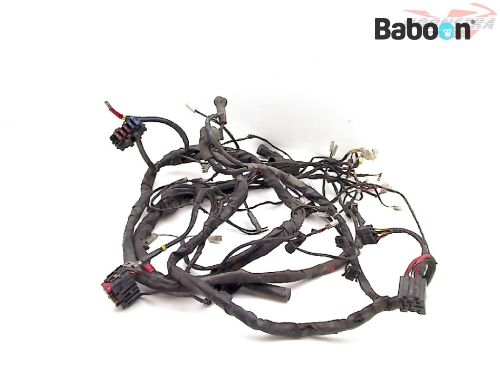 Piaggio | Vespa X8 200 Cableado/Mazo principal