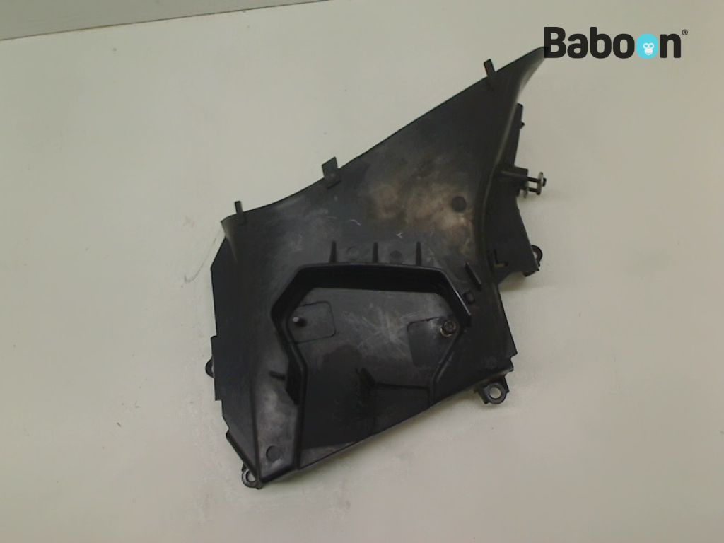Buell 1125 R 2008-2010 Frame Cover