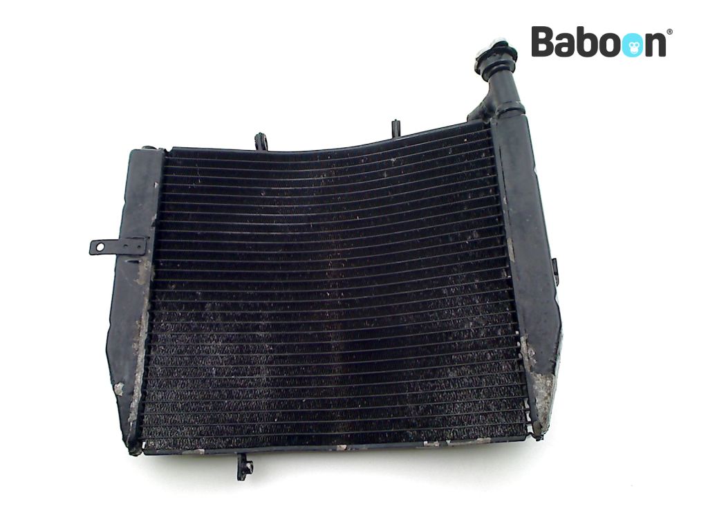 Triumph Daytona 675 2009-2012 (VIN 381275-564947) Radiator