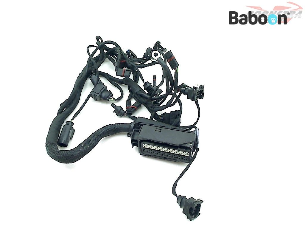 BMW F 800 R 2009-2014 (F800R) Kabelboom Motorblok (7705435)