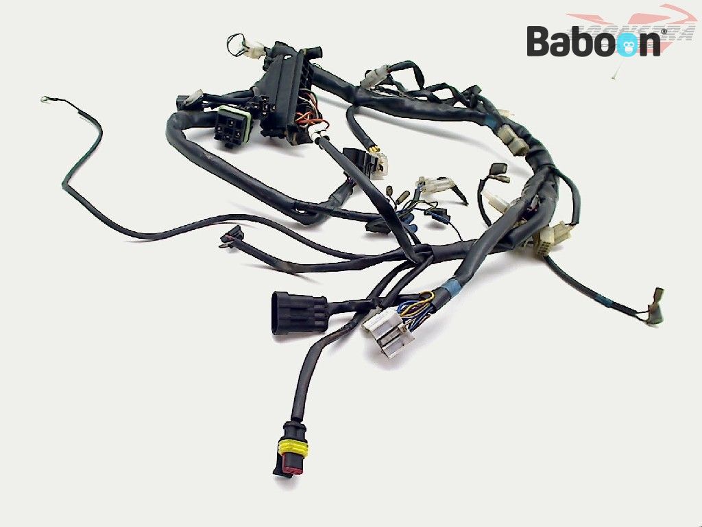 Cagiva Raptor 650 2001-2004 Carb M210 Wiring Harness (Main)